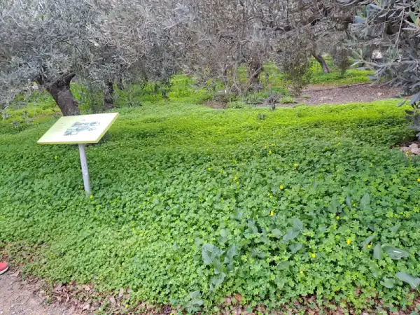 Jardín ph