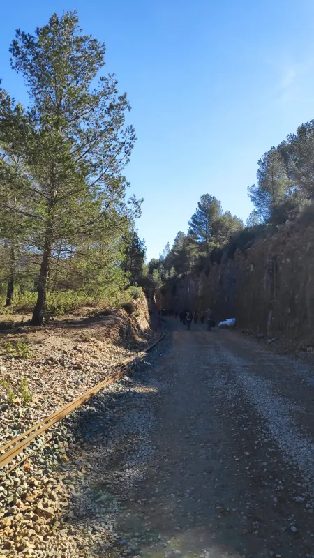 Sierra de la Cabrera. Vía del tren