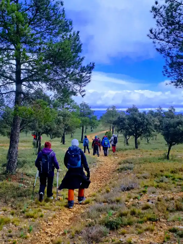 Ruta Hontanar en Utiel