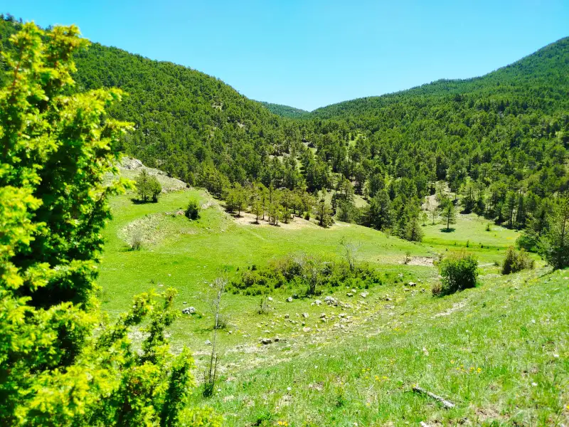 Paisaje II C-l PH