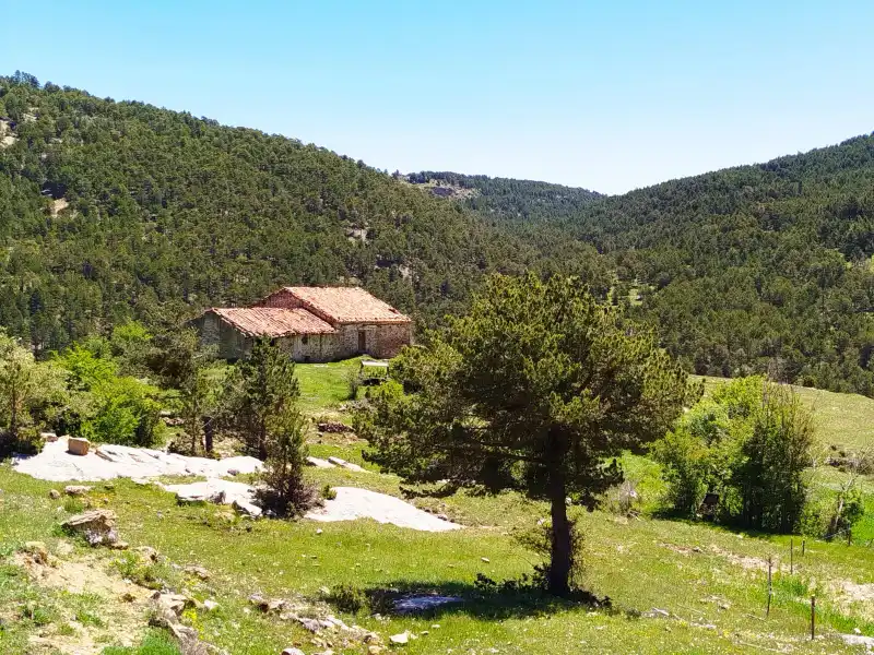 Paisaje IV C PH