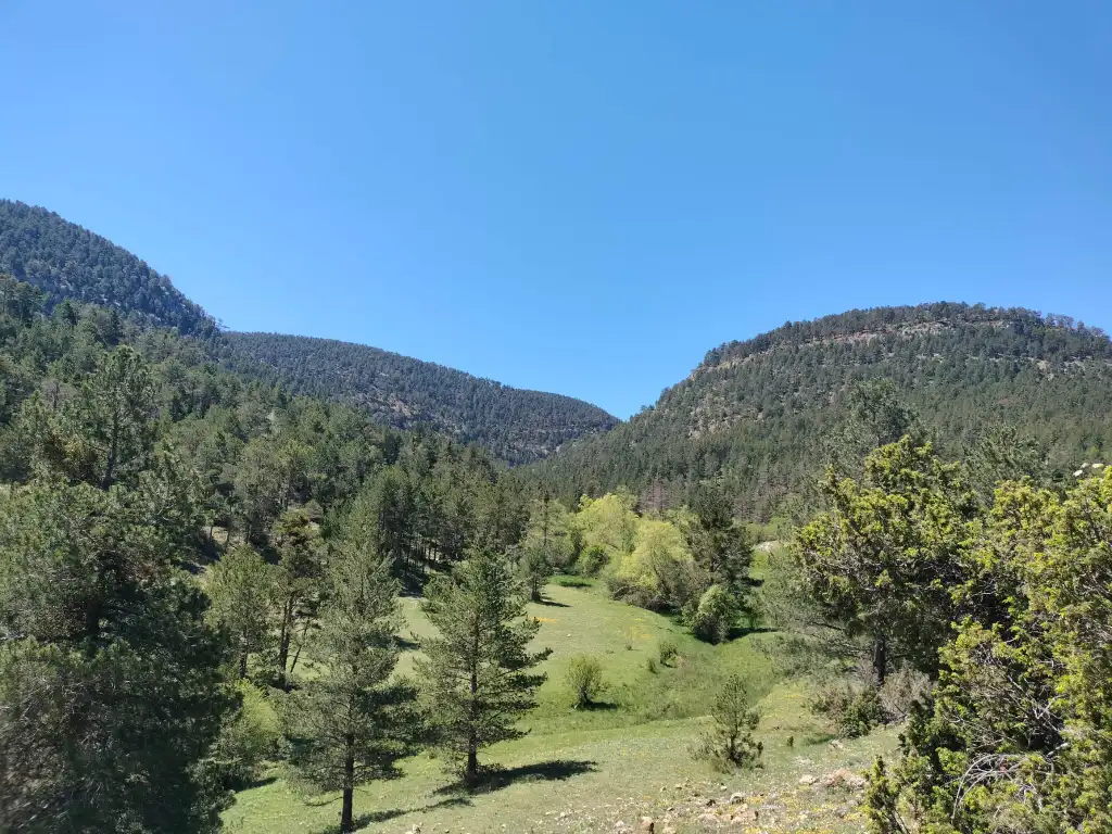 Linares de Mora