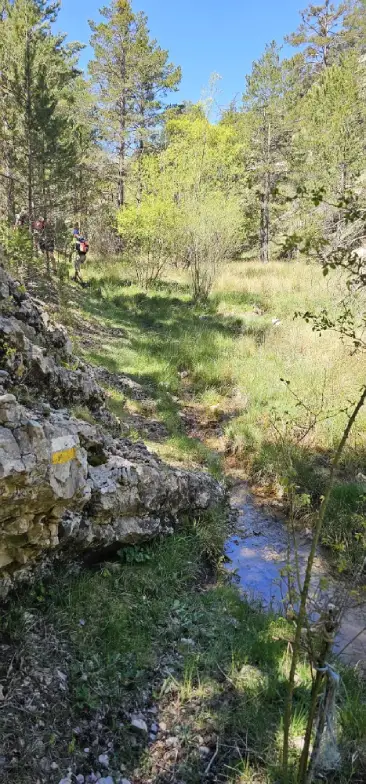 Paisaje VIII V PH (1)