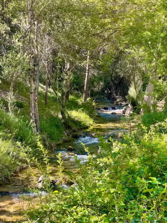 Río V PH (1)