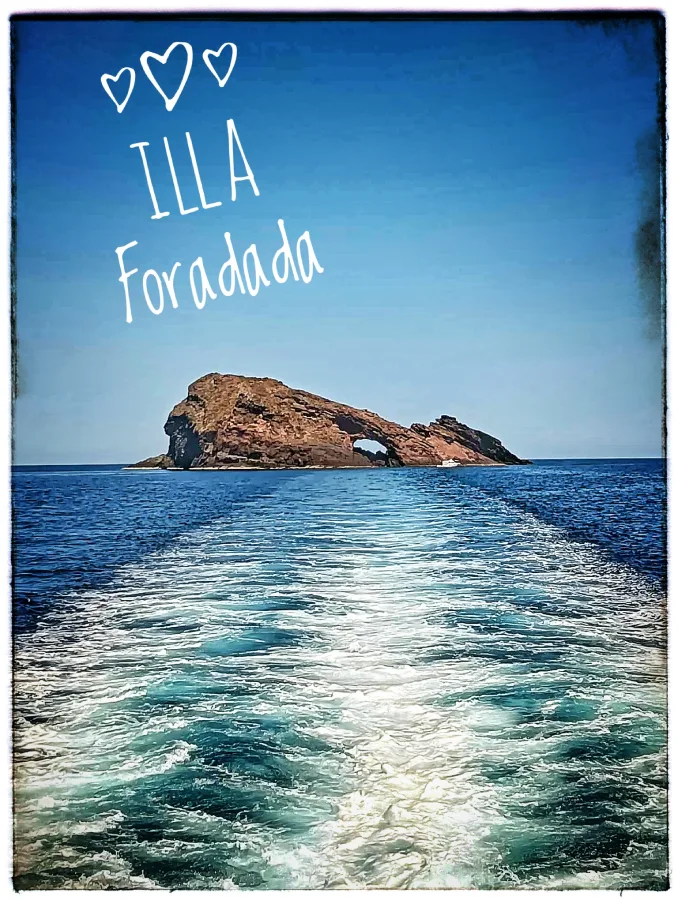 Foradada V ph
