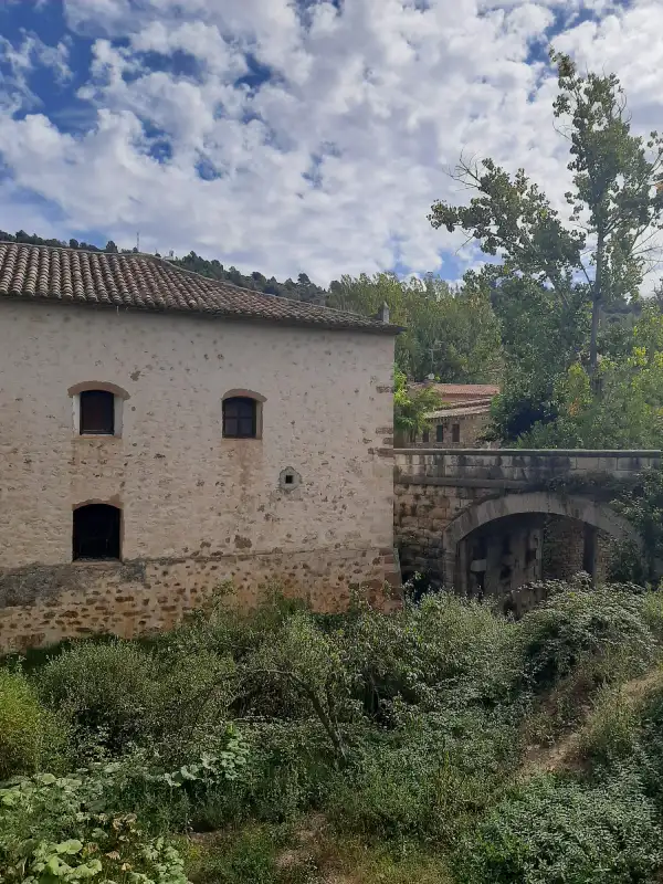 Masia ph V