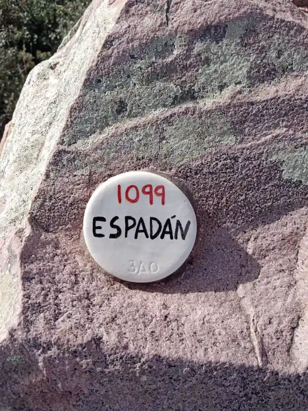 Placa espadan V ph