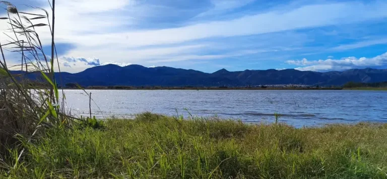 Marjal Pego-Oliva. 25 de gener 2026