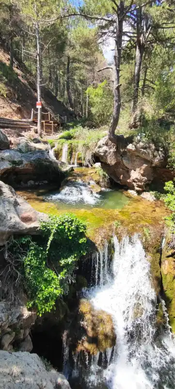 Cascada V+ ph