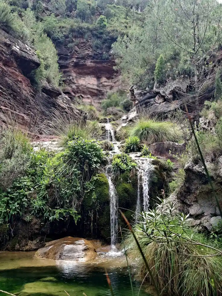 Pozo Negro. Fuentes de Ayódar