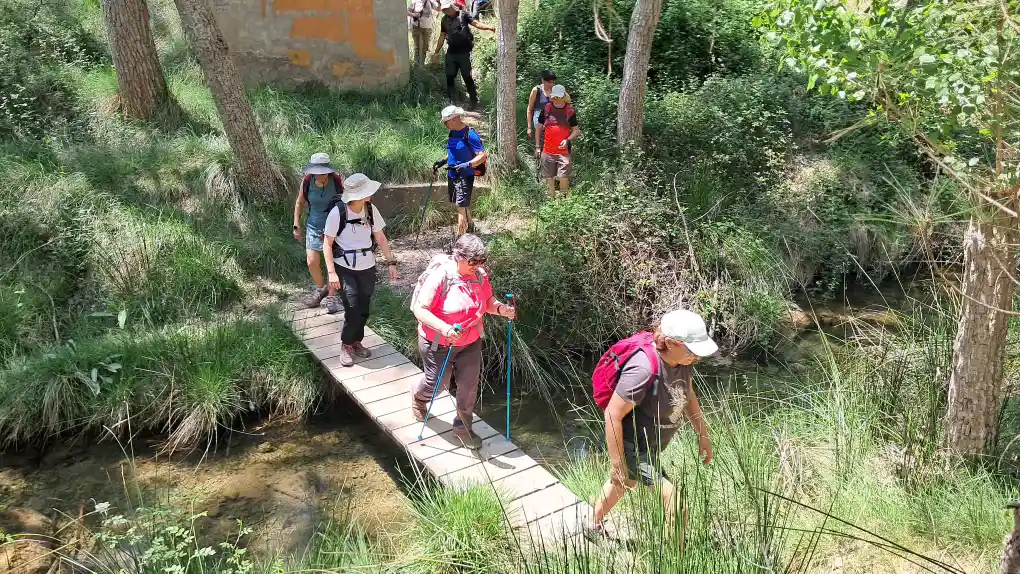 Grupo Puente H ph