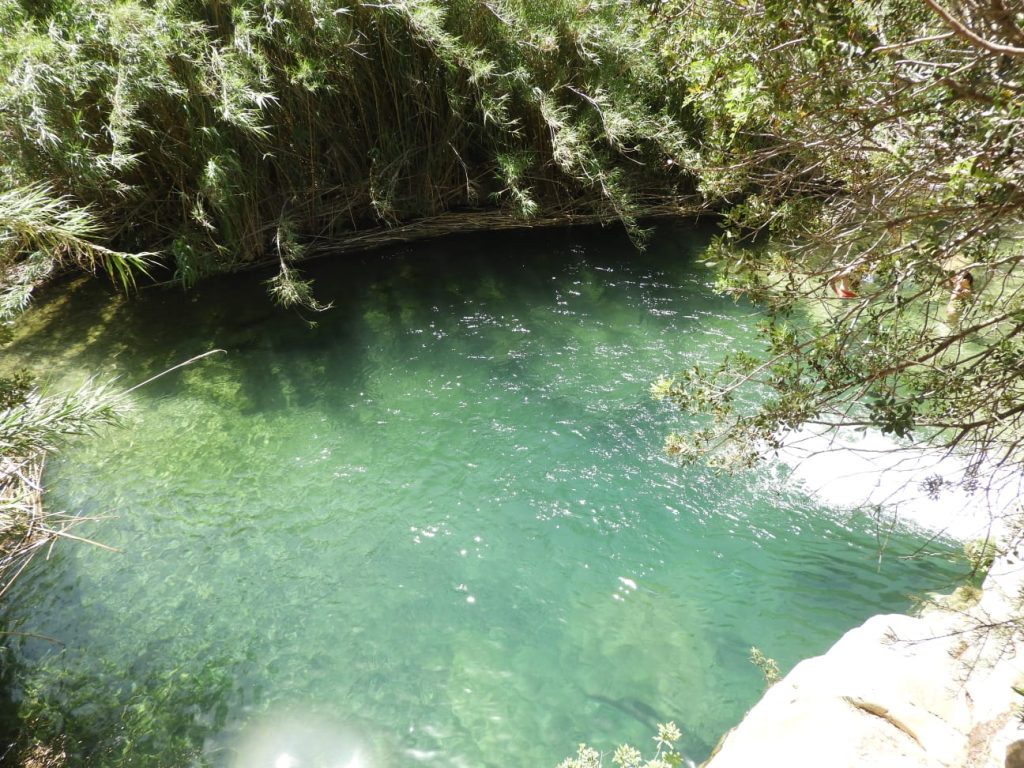 Charco II C