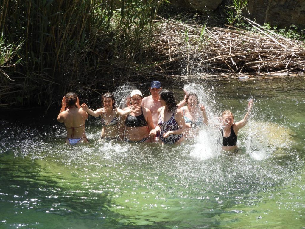 Portada Castellnovo